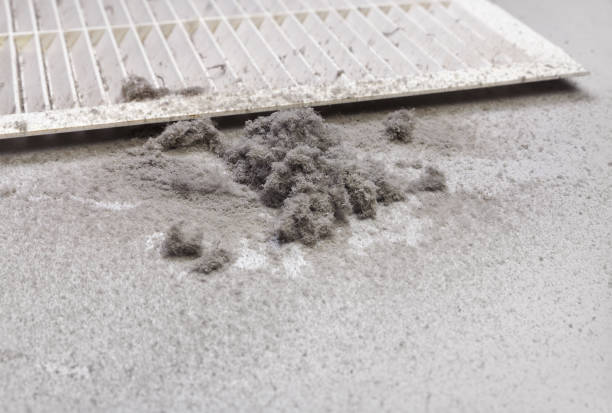 Best Air Duct Cleaning Company Near Me  in Biltmore, TN
