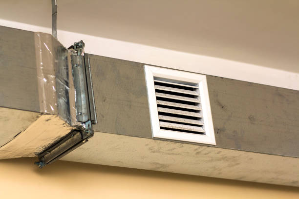 Best Air Duct Sanitizing Services  in Biltmore, TN